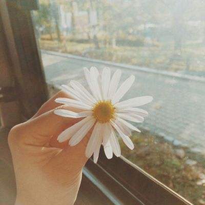 云顶集团手机app下载