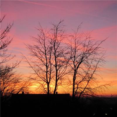 BOB体育综合下载平台