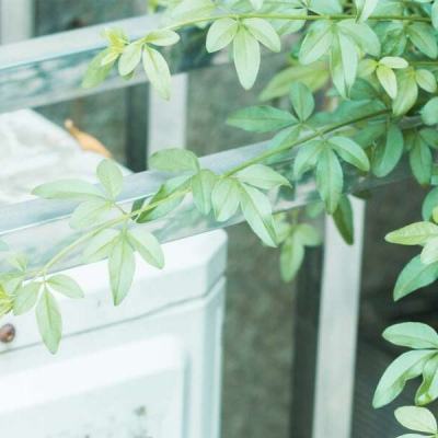 乐鱼官网手机app下载